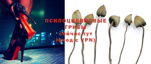 дживик Наволоки