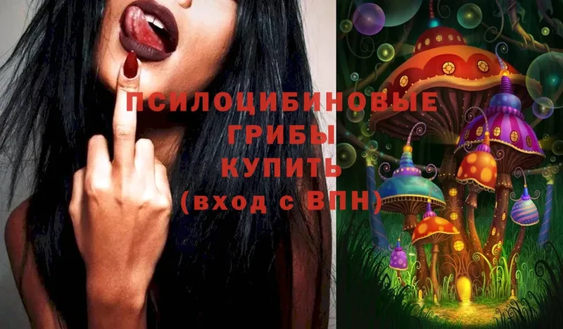 Псилоцибиновые грибы Psilocybe  Абаза 