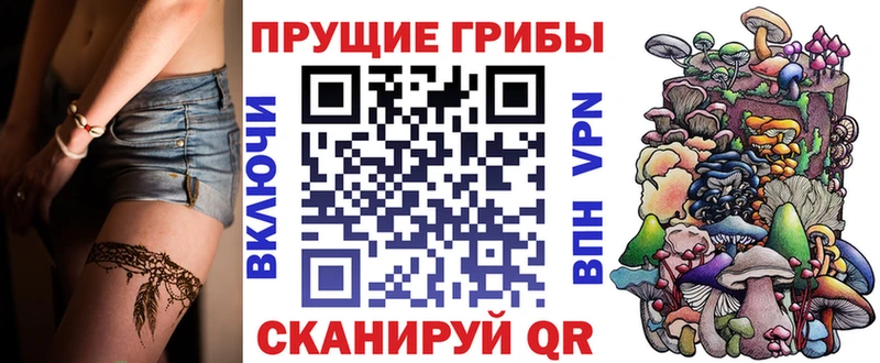 Галлюциногенные грибы GOLDEN TEACHER darknet как зайти Абаза