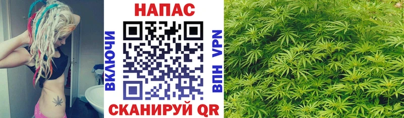 Каннабис сатива  Абаза 